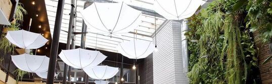White umbrellas hanging from a greenhouse ceiling in a coworking space called the Atirum. There is a living wall.