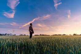 A farmer standing in a field of young crops looking at the sunset in the distance